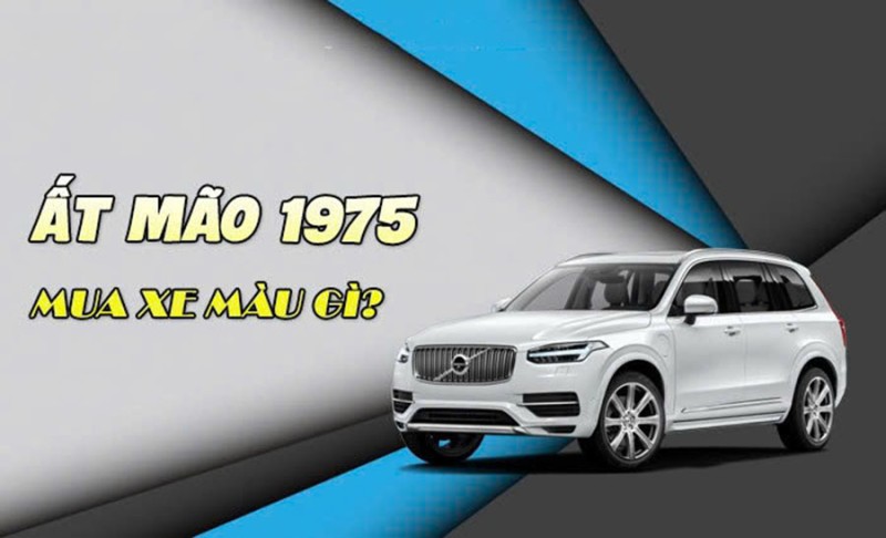 Sinh Năm 1975 Mua Xe Màu Gì Hợp Phong Thủy?