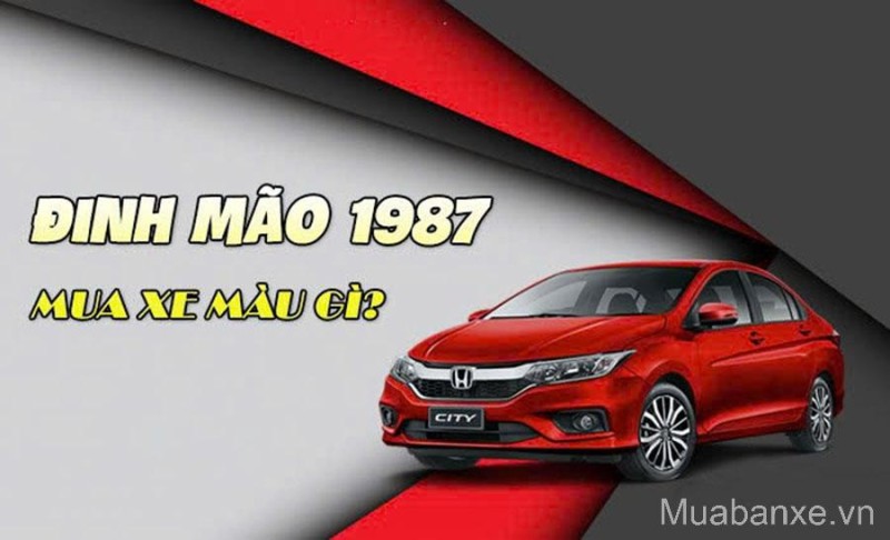 Sinh Năm 1987 Mua Xe Màu Gì Hợp Tuổi Đinh Mão? Hóa Giải Màu Kỵ Dễ Dàng