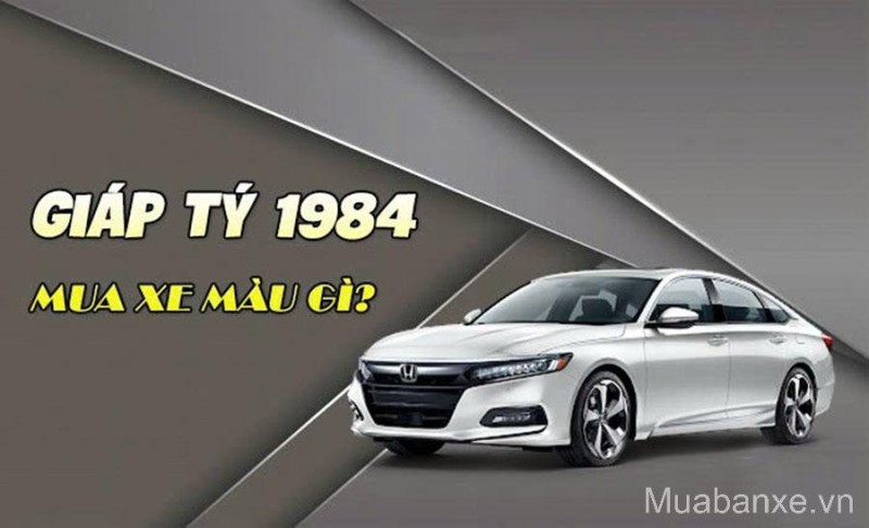 Tuổi Giáp Tý 1984 Hợp Xe Màu Gì Và Kỵ Màu Nào? Mẹo Hóa Giải Xe Đã Mua