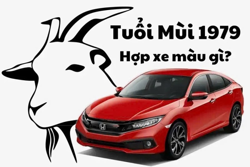 Tuổi Kỷ Mùi 1979 Hợp Xe Màu Gì? Bí Kíp Chọn Màu Phong Thủy