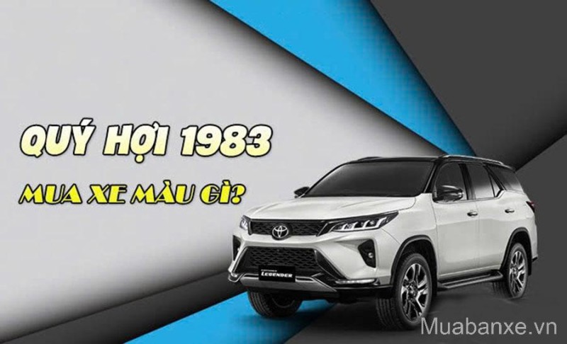 Tuổi Quý Hợi 1983 Nên Mua Xe Màu Gì Để Tránh Tai Nạn Và Hao Tài
