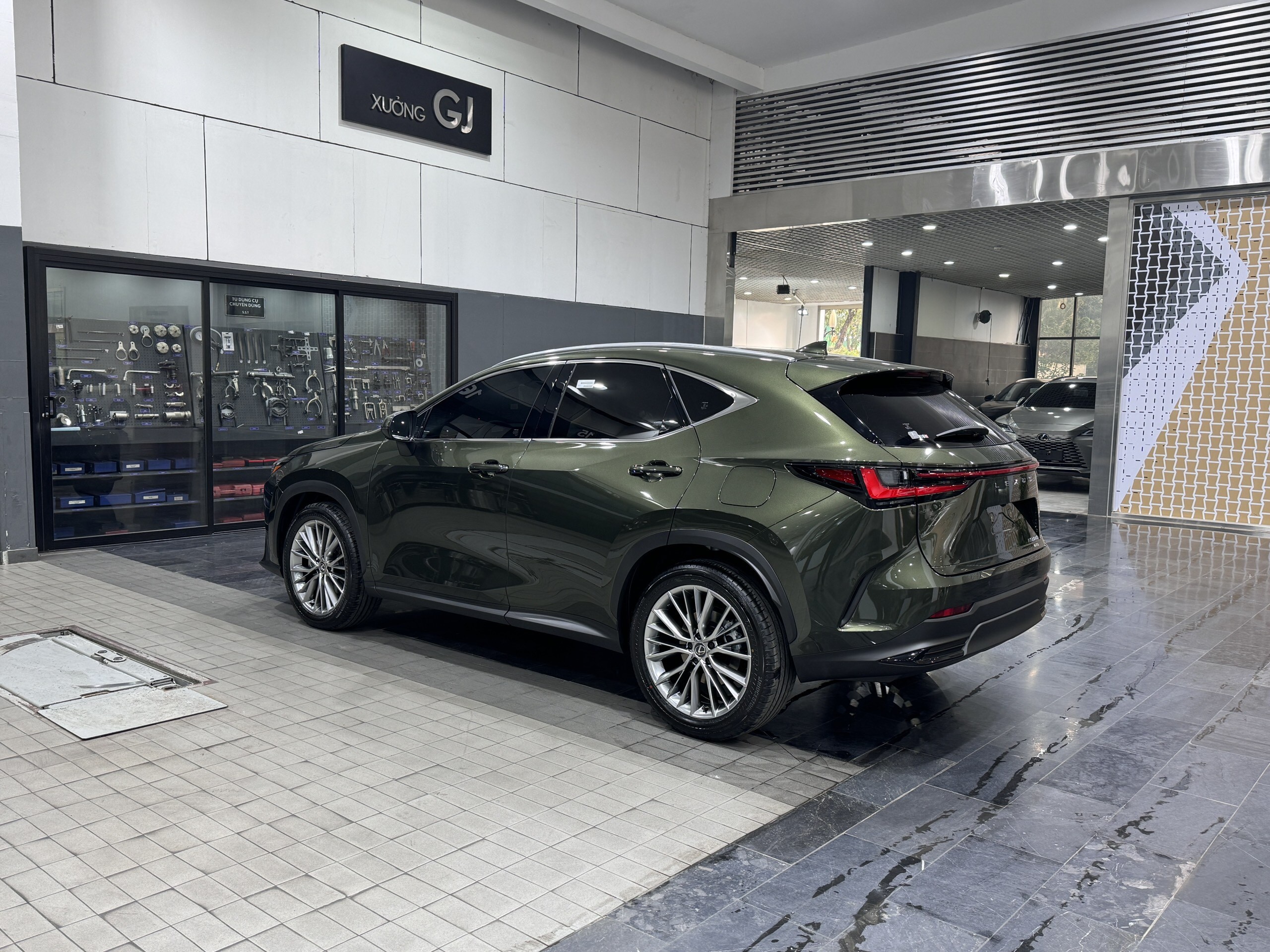 Lexus NX350 Hybrid Model 2024