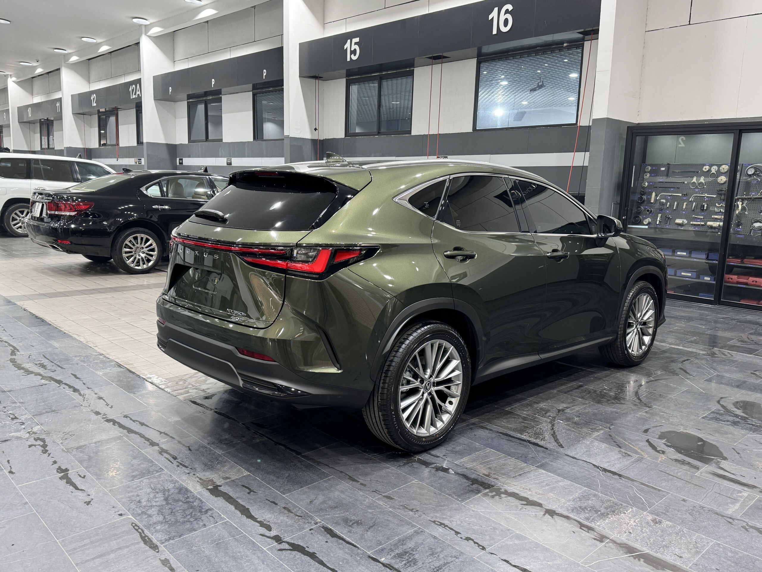 Lexus NX350 Hybrid Model 2024