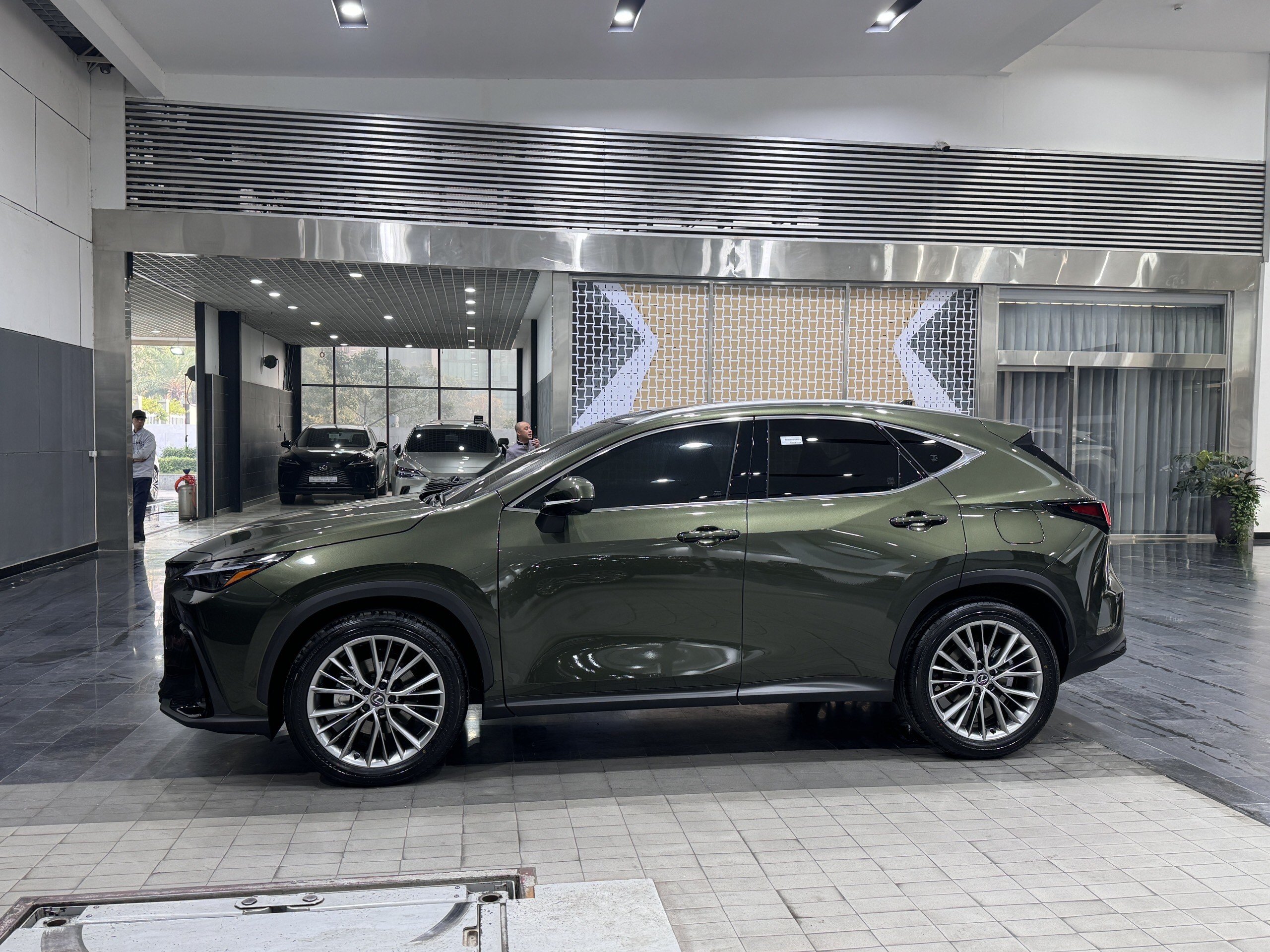 Lexus NX350 Hybrid Model 2024