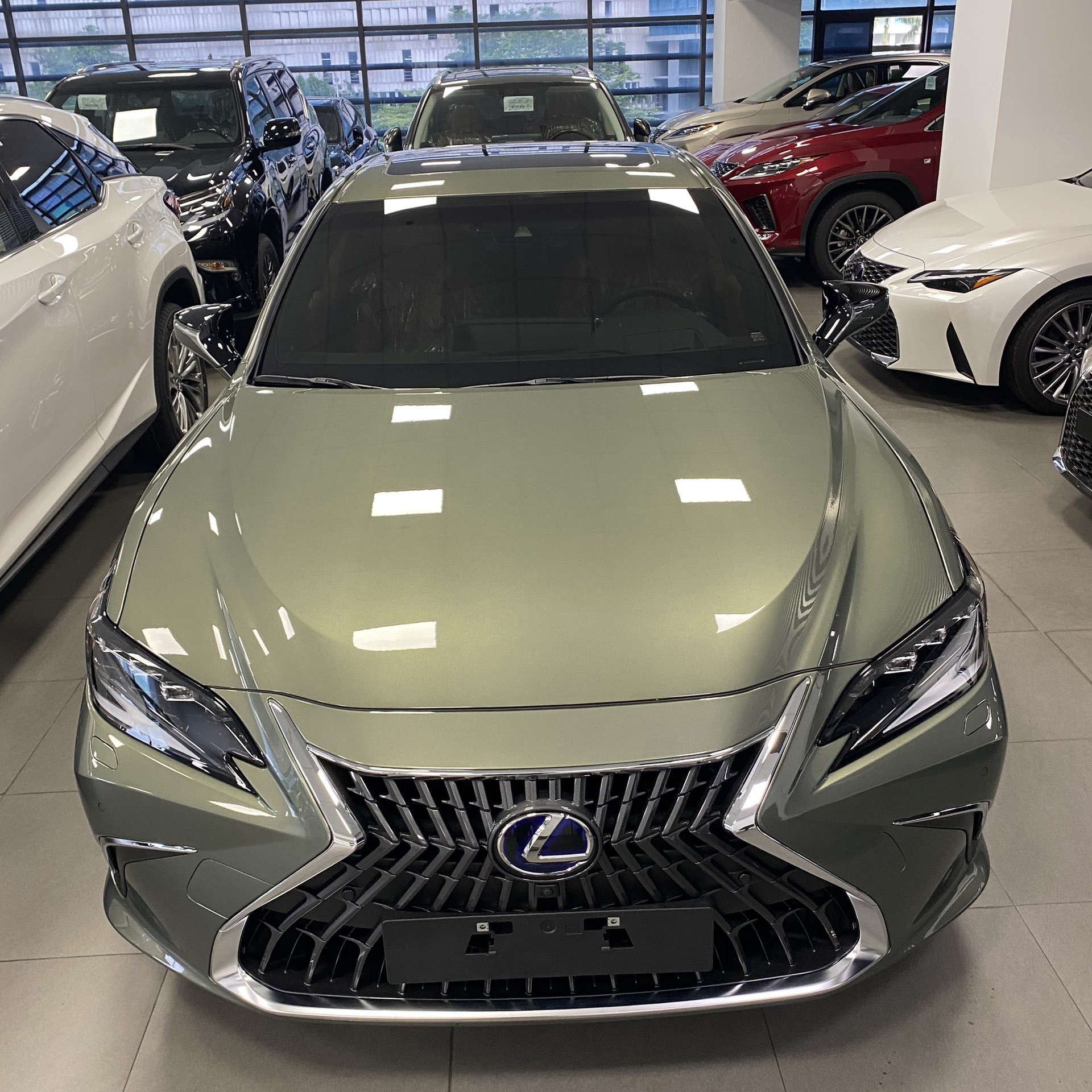 Lexus ES250 Model 2024