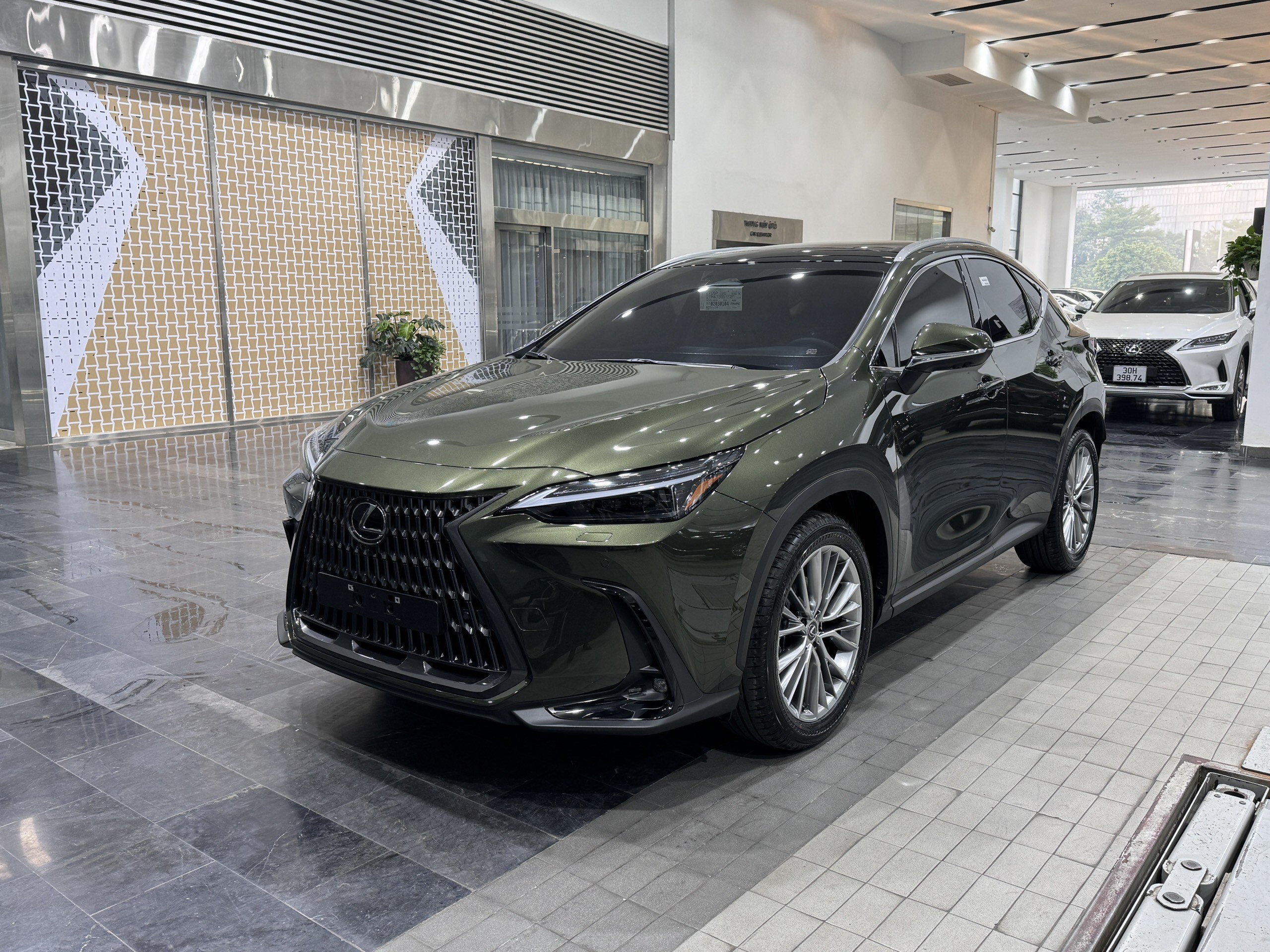 Lexus NX350 Hybrid Model 2024