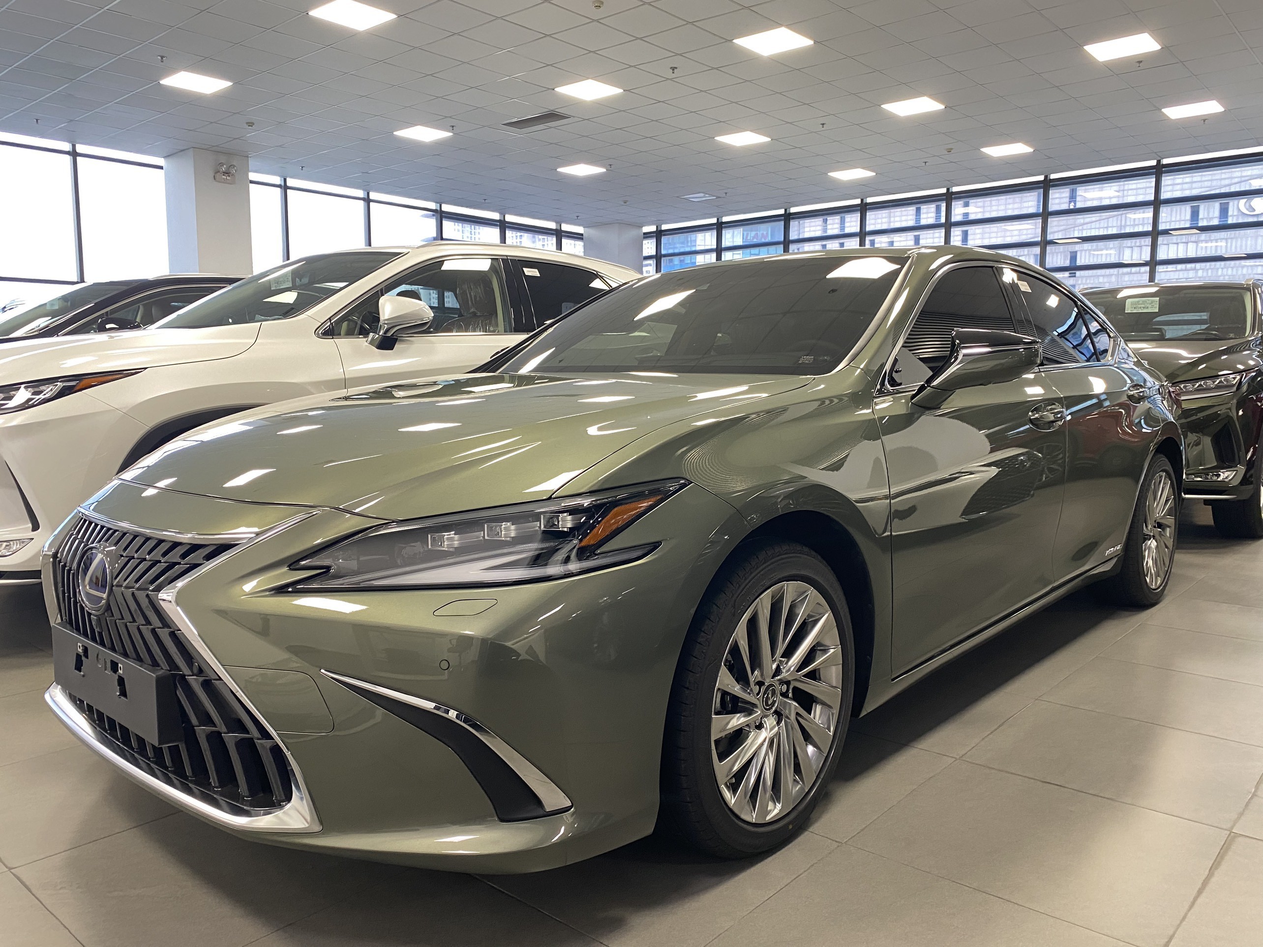 Lexus ES250 Model 2024