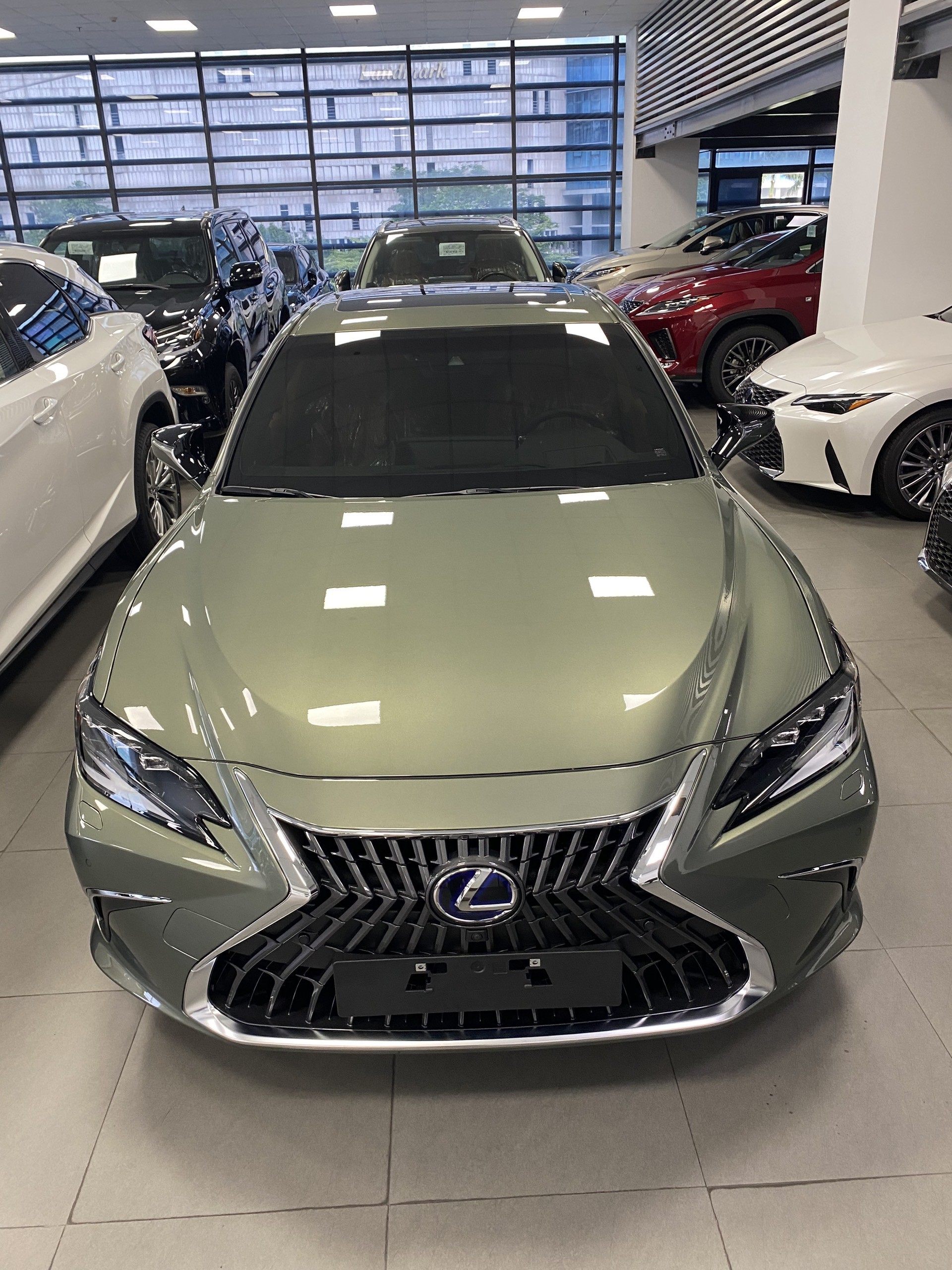 Lexus ES250 Model 2024