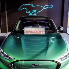 Xe điện Ford Mustang Mach-E Xanh lá