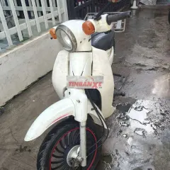 Daelim Cub 50cc màu Trắng