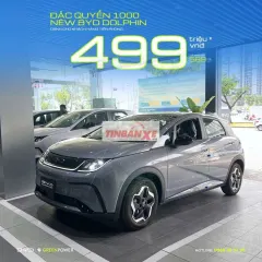 Xe điện BYD Dolphin màu Xám