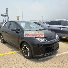 BYD Dolphin 2026 đủ màu. Sẵn xe giao luôn