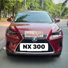 Lexus NX 300 2019 Đỏ 72.136 km