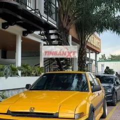 Honda Accord màu Vàng