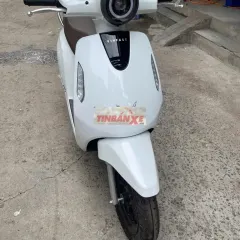 VinFast evolite neo