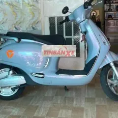 Xe máy điện màu Xám 6789 km