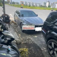 BMW 520i 2012 xám