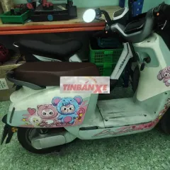 Xe điện Yadea Ocean Trắng Hư bình