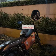 Xe máy điện Dat Bike Weaver v1