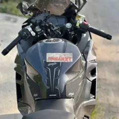 Kawasaki Ninja Xám Xe côn tay