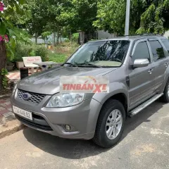 Ford Escape 2010 Xám Tự động Xăng