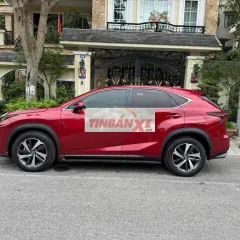 Lexus NX 300 2019 Đỏ
