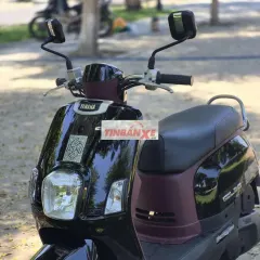Yamaha Cuxi Fi đẹp ken, nguyên bản