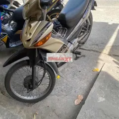 Yamaha Taurus Vàng đồng