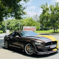 Ford Mustang 2.3 ECOSPORT Premium 2015 Nâu