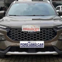 Ford Territory Titanium X 2024 Nâu