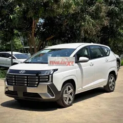 New Stargazer 2026 - giảm 50% TB