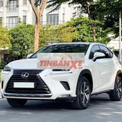 Lexus NX300 2019 Trắng 90.000 km