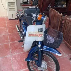 Honda Cub 81/89/70 Xanh, Trắng Nguyên bản