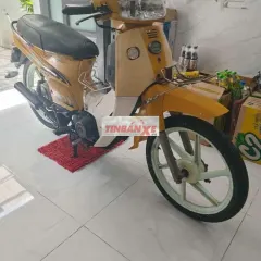 Kawasaki Max