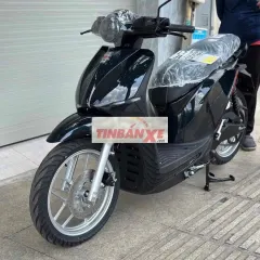 Xe máy điện DATBIKE S2 Đen