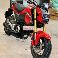 Honda MSX 125 2018 Đỏ 28.000 km