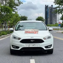 Focus 2019 trend
