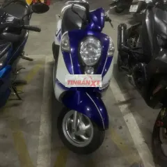 SYM Elite 50cc Trắng Xanh Học sinh