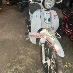 Cup 50cc Trắng Mới