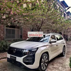 Volkswagen Teramont Pro SUV Trắng Pure Đức