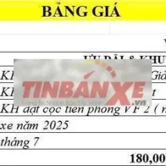 Xe VF2- 4 chỗ - 180tr- tt trước 27tr, góp 2.5tr