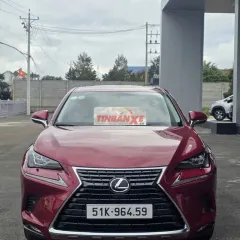 Lexus NX300 2019 Đỏ 73.000 km