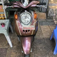 Yamaha Classico 2011 Nâu-Trắng