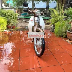 Cub Led 50cc 2023 Zin Chính Chủ