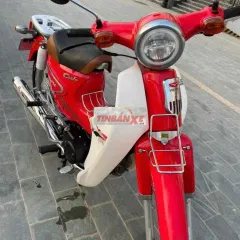 Honda Cub 50cc 2022 Đỏ Trắng