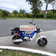 Honda Chaly Xanh, Trắng Nhật Bản