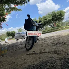 Honda Wave Alpha 2018 Xanh Biên Hoà