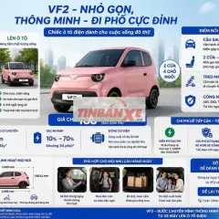 VinFast VF 2 4 chỗ điện màu Hồng