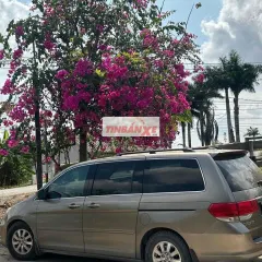 Honda Odyssey 2008 Mỹ Tự động Nâu