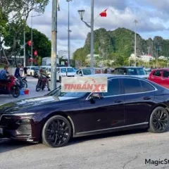 Xe VinFast Lux A 2.0 Premium 2.0 AT 2021